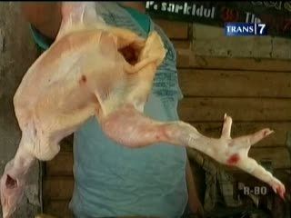 Jeli memilih ayam, Hindari Penyakit Berbahaya