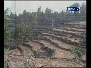  Prediksi Puncak Musim Kemarau