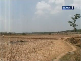 Elnino Lemah, Penyebab Kekeringan Tanah Air