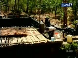 Kemarau, Warga Konsumsi Air Berlumut