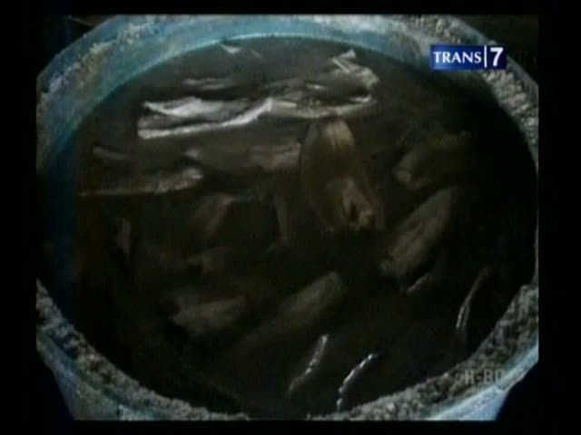 Polisi Gerebek Pengolahan Ikan Berformalin
