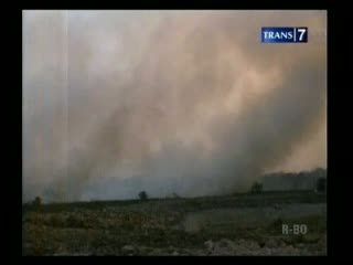 Pembukaan Lahan, Hutan Terbakar