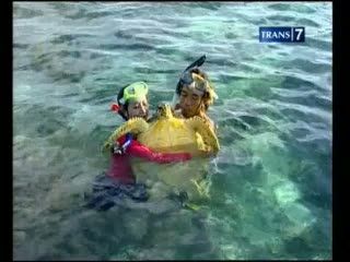Asyiknya Berenang Bersama Penyu