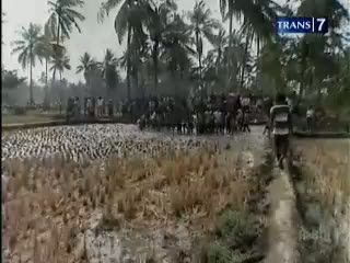Semburan Air Panas Muncul di Tengah Sawah