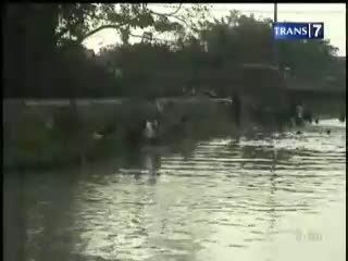 Kekeringan Udang dan Ikan Mati Massal