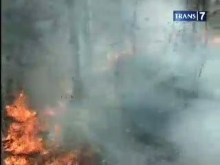 Kekeringan, Hutan Jati Terbakar
