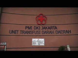 Sejarah PMI