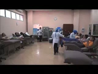 Pengolahan Darah Donor