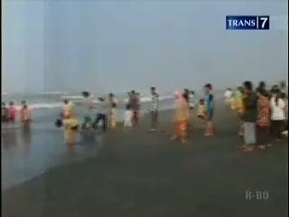 Paus Mati Terdampar