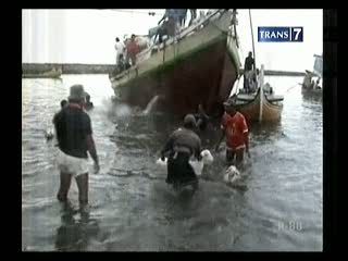 Tak Ada Pelabuhan, Hewan Ternak Dilempar ke Laut