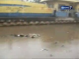 Bogor Diguyur Hujan, Jakarta Timur Kebanjiran