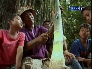 Rebung, Kaya Serat Bersihkan Pencernaan