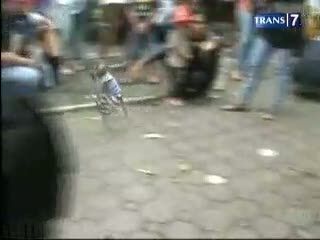 Hari Hak Asasi Binatang, Tolak Kekerasan Satwa