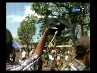 Tradisi Bersih Desa, Warga Berebut Ayam
