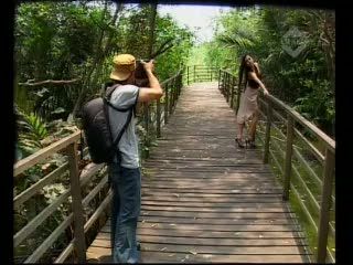  Menikmati Hutan Bakau dan Puluhan Jenis Burung