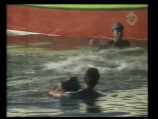 Terbatas Sarana Pelabuhan, Hewan Kurban Dilempar ke Laut