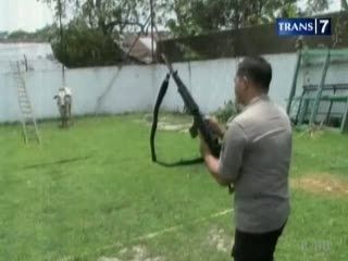 Sapi Mengamuk Ditembak Brimob