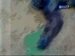 Hidup Orang Utan Terancam, Penindakan Hukum Lemah
