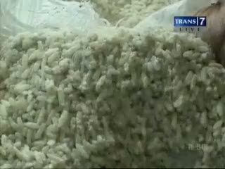 Beras Berkutu untuk Rakyat Miskin