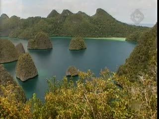 Raja Ampat, Pendidikan Konservasi yang Minim