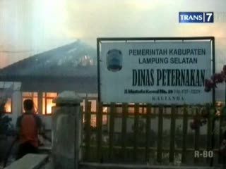 Dinas Peternakan Terbakar, Dokumen Hangus