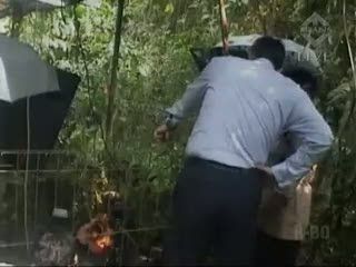 Raflesia Patma Mekar di Kebun Raya