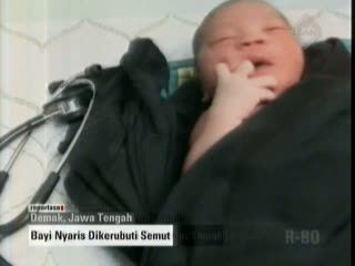 Sehari 2 Bayi Dibuang Orangtuanya