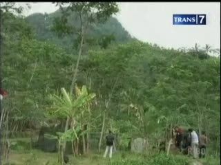 Elang Jawa Dilepas Liarkan