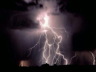 Musim Hujan, Waspada Pohon Tumbang dan Petir