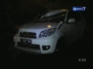 Pohon Tumbang Timpa Mobil di Jalan Tol