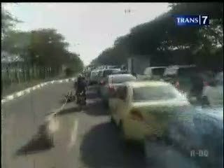 SBY Tanam Pohon, Jalur ke Bandara Lumpuh