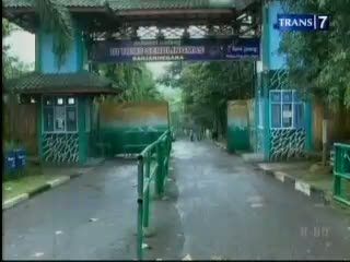 Gajah Sumatera Mati Tersengat Listrik