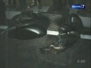 Wanita Bersepeda Motor Tewas Tertabrak Bus