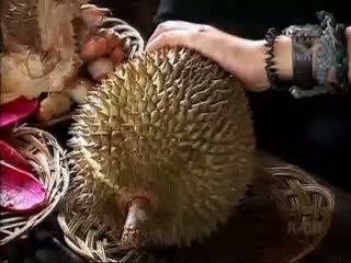 Durian, King of Fruit dari Asia Tenggara