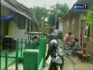 Ribuan Ulat Bulu Serbu Perumahan Warga Banten