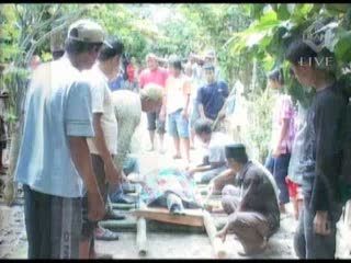 Angin Kencang, Warga Tewas Tertimpa Pohon