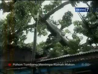 Pohon Tumbang Timpa Rumah dan Mobil