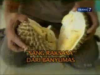 Sang Raksasa dari Banyumas