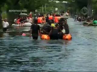 Penyelamatan Anjing dan 3 Anaknya