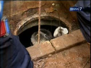 Pria Tewas Saat Bersihkan Saluran Air