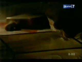 Artis Pangsa Potensial Bandar Narkoba