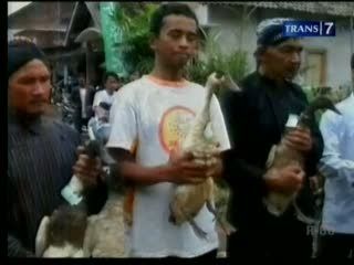 Lomba Adu Balap Itik