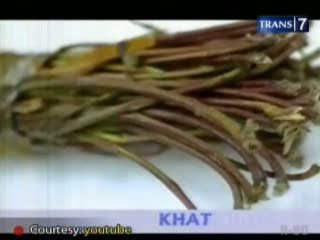 Efek Zat Narkoba Baru, Lebih Dahsyat dari Ekstacy?