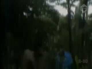 Warga Resah karena Tanam Pohon Katinona