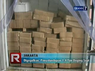 Penyelundupan 1,4 Ton Daging Sapi Digagalkan