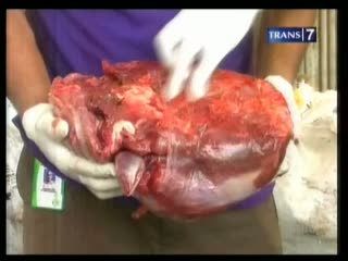 Ratusan Kg Daging Celeng Diselundupkan