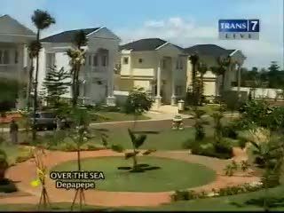 Prospek Usaha Menguntungkan di Tahun Ular Air