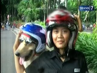 Unik! Safety Riding Ala Anjing Pintar