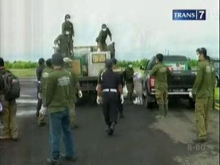 Puluhan Orang Utan Dilepasliarkan