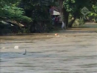 Ratusan Rumah di Kampung Pulo Terendam Air